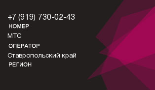 9197300243